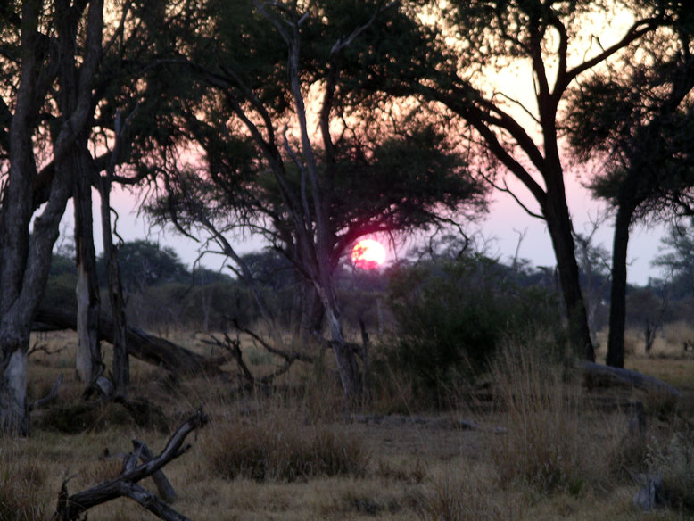el amanecer